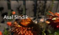 Asal Sindikat Judi Online di Indonesia Dibongkar Kominfo: Kebanyakan Dari Kawasan ASEAN