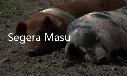 Segera Masuk Masa Kampanye, Bawaslu Minta untuk Fokus pada Strategi Pengawasan di Ruang Publik