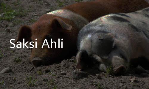 Saksi Ahli Kasus TPPU Panji Gumilang Segera Diperiksa Bareskrim